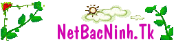 NetBacNinh.Tk